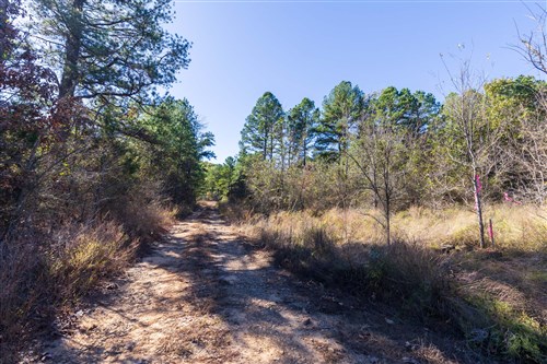 Stone Bridge Reserve Tract 25