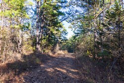 Stone Bridge Reserve Tract 25