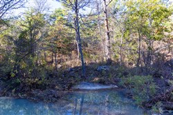 Stone Bridge Reserve Tract 25