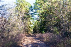 Stone Bridge Reserve Tract 26