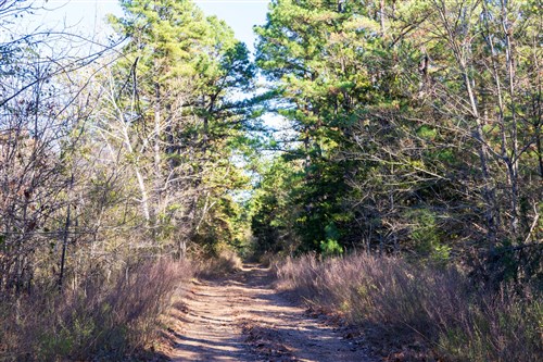 Stone Bridge Reserve Tract 26