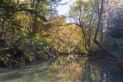 Stone Bridge Reserve Tract 26