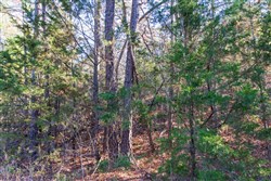Stone Bridge Reserve Tract 26