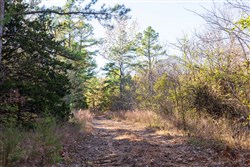 Stone Bridge Reserve Tract 26