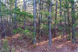 Stone Bridge Reserve Tract 26