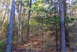 Stone Bridge Reserve Tract 26