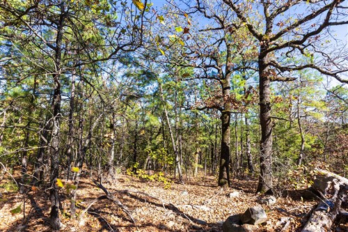 Stone Bridge Reserve Tract 27