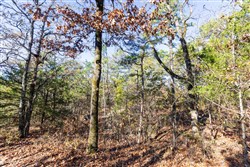 Stone Bridge Reserve Tract 27