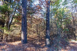 Stone Bridge Reserve Tract 27