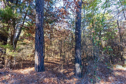 Stone Bridge Reserve Tract 27