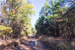 Stone Bridge Reserve Tract 27