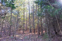 Stone Bridge Reserve Tract 27