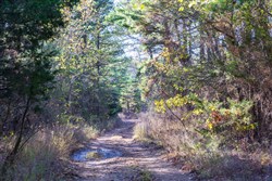 Stone Bridge Reserve Tract 27