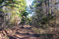 Stone Bridge Reserve Tract 28