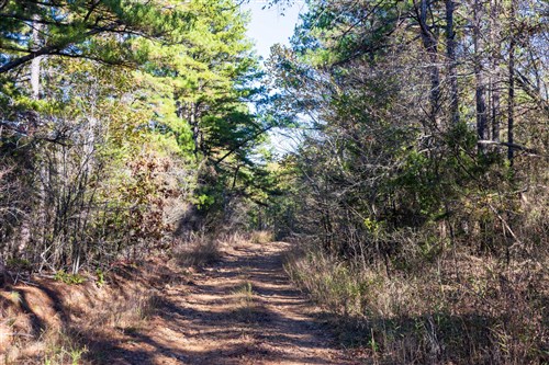 Stone Bridge Reserve Tract 28