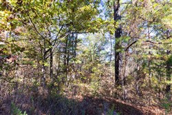 Stone Bridge Reserve Tract 28