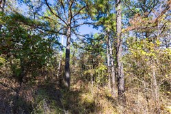 Stone Bridge Reserve Tract 28