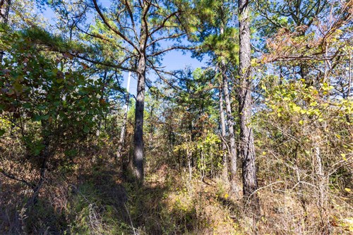 Stone Bridge Reserve Tract 28