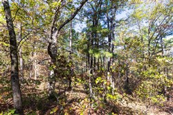Stone Bridge Reserve Tract 28