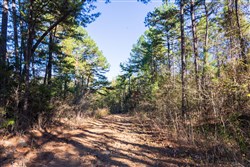 Stone Bridge Reserve Tract 28