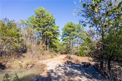 Stone Bridge Reserve Tract 29