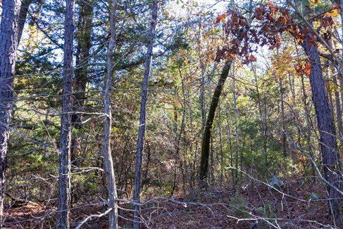 Stone Bridge Reserve Tract 29