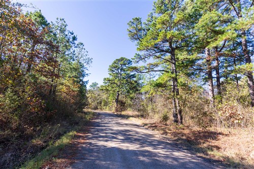 Stone Bridge Reserve Tract 3