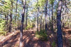 Stone Bridge Reserve Tract 3