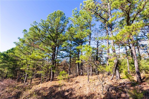 Stone Bridge Reserve Tract 3