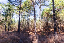 Stone Bridge Reserve Tract 3