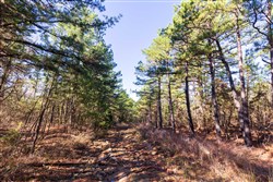 Stone Bridge Reserve Tract 3