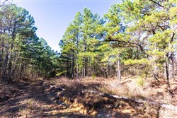 Stone Bridge Reserve Tract 3