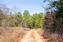 Stone Bridge Reserve Tract 30