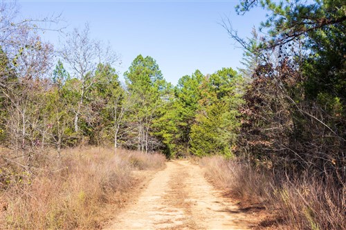 Stone Bridge Reserve Tract 30