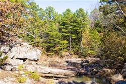 Stone Bridge Reserve Tract 30