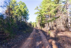 Stone Bridge Reserve Tract 31