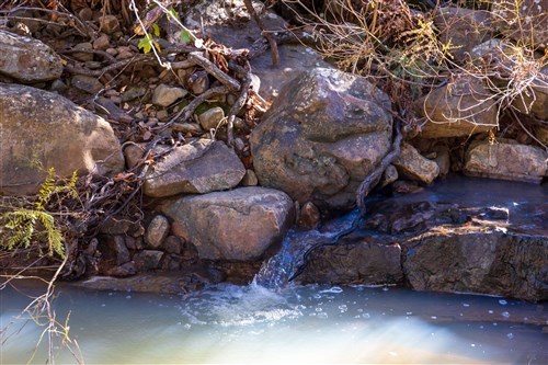 Stone Bridge Reserve Tract 31