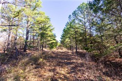 Stone Bridge Reserve Tract 4