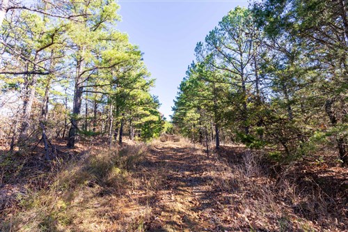 Stone Bridge Reserve Tract 4