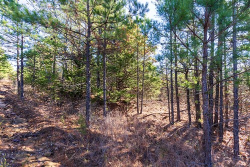 Stone Bridge Reserve Tract 4