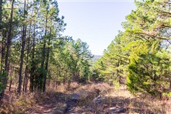 Stone Bridge Reserve Tract 4