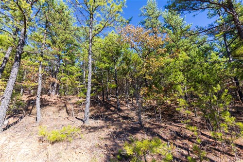 Stone Bridge Reserve Tract 5