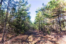 Stone Bridge Reserve Tract 5
