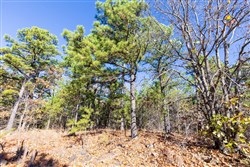 Stone Bridge Reserve Tract 5