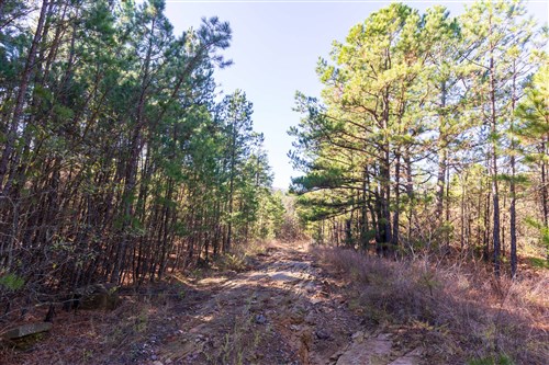 Stone Bridge Reserve Tract 6