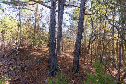 Stone Bridge Reserve Tract 6