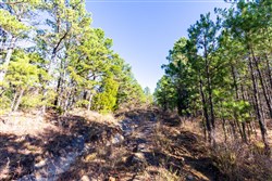 Stone Bridge Reserve Tract 6