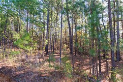 Stone Bridge Reserve Tract 6