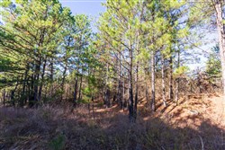 Stone Bridge Reserve Tract 6