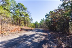 Stone Bridge Reserve Tract 7